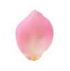 petal